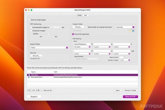 BatchOutput DOC download