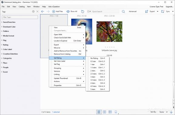 Daminion download