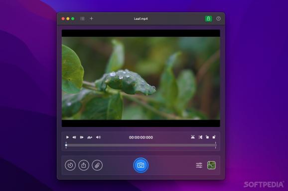 SnapMotion download
