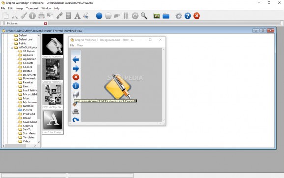 Graphic Workshop Professional download